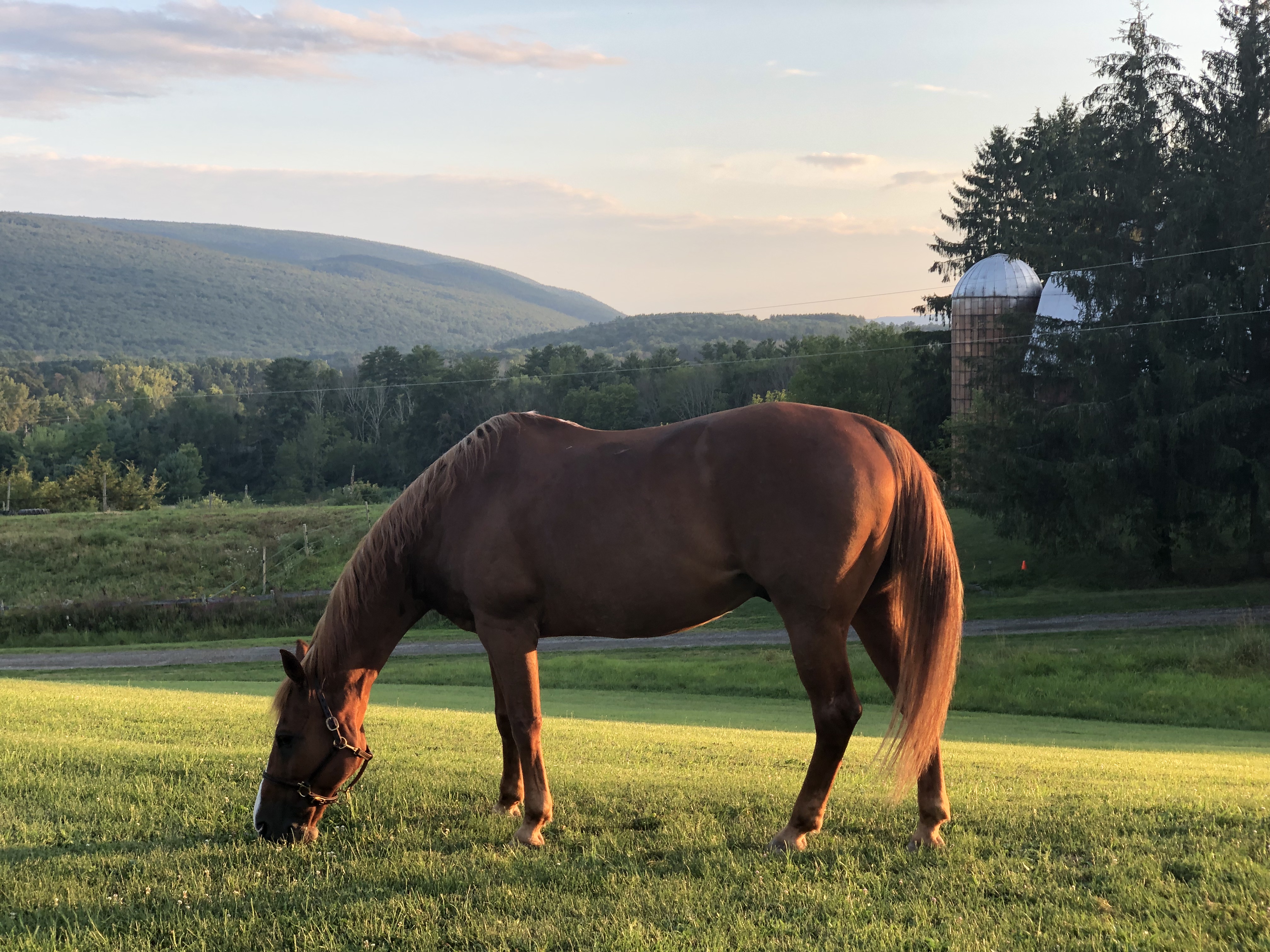 Rustic Farm Horse Wedding New York Catskills Hudson Valley